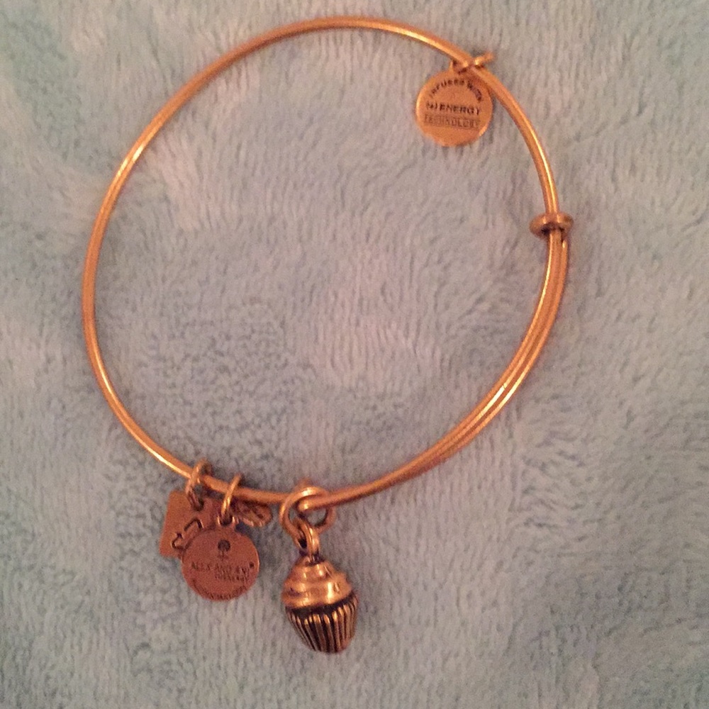 Alex and ani cupcake bracelet